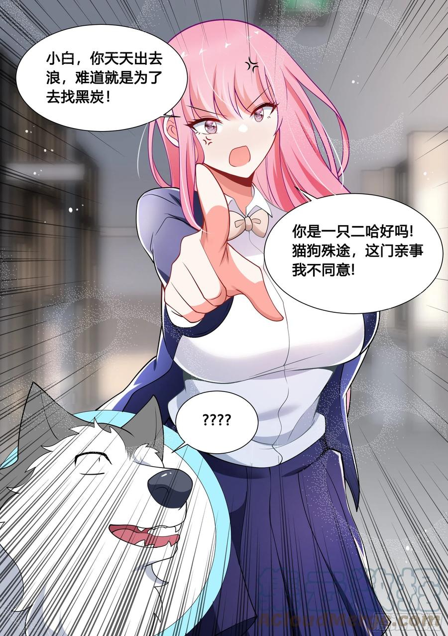《直播：女神家的哈士奇天秀》95-这门亲事我不同意！ 第13页