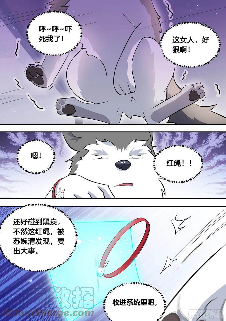 《直播：女神家的哈士奇天秀》95-这门亲事我不同意！ 第11页