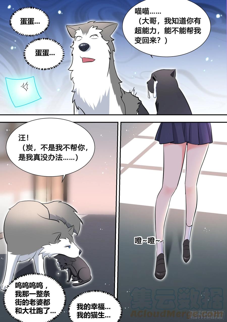 《直播：女神家的哈士奇天秀》95-这门亲事我不同意！ 第12页