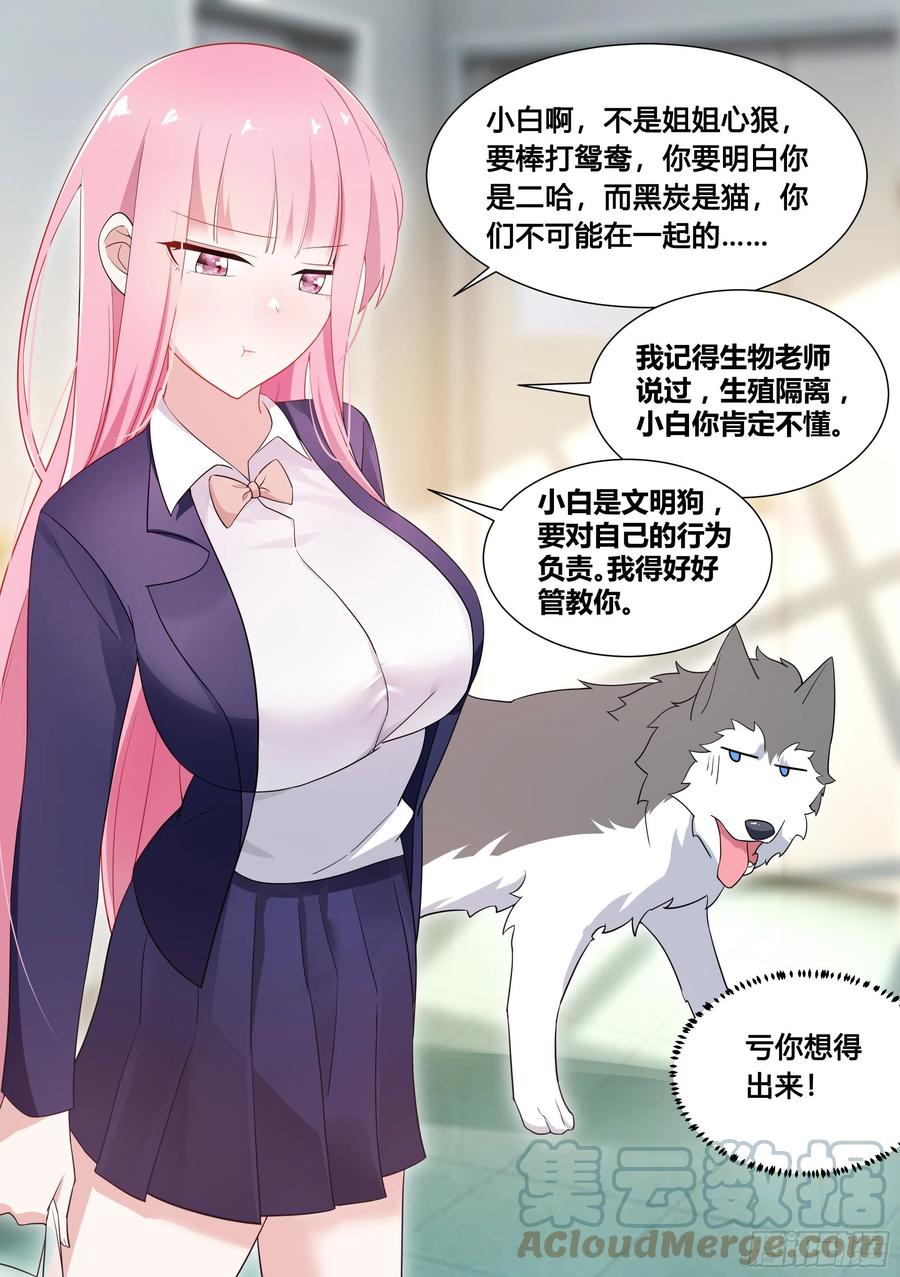 《直播：女神家的哈士奇天秀》96-小恶魔cosplay 第3页