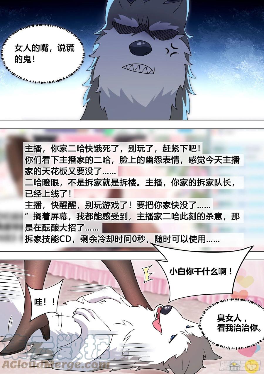 《直播：女神家的哈士奇天秀》98-我上电视啦 第2页