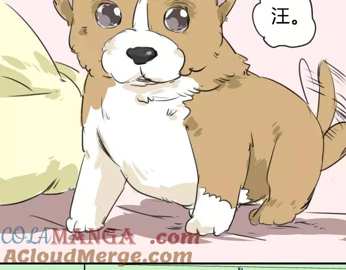 《犬系男子恋爱中》第35话 来约会吧（03） 第28页