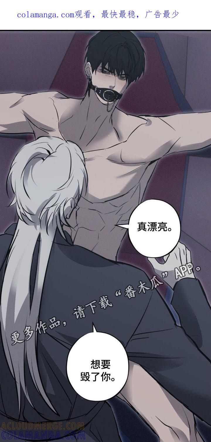 《黑城之剑》第78章：【第二季】想要毁了你 第1页