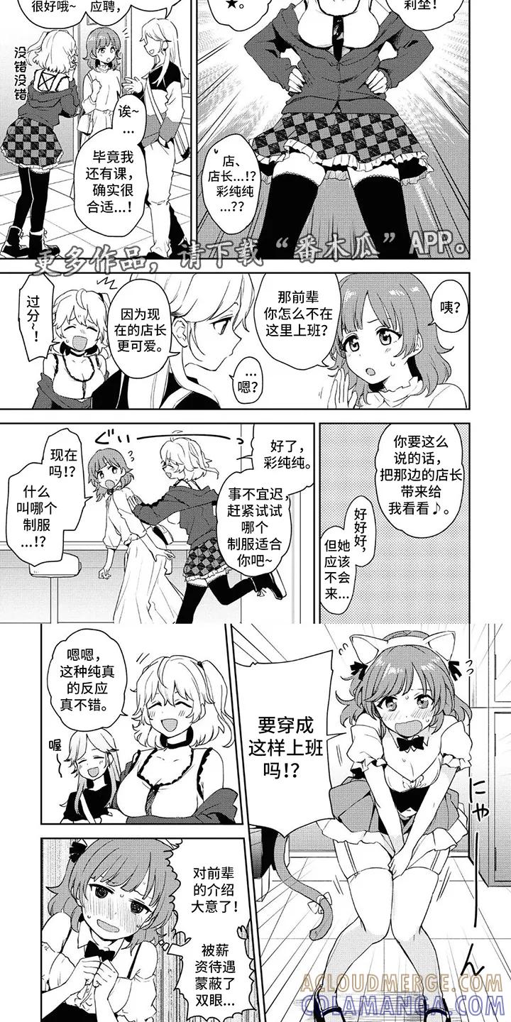 蔷薇俱乐部 - 第7章：很合适 - 第5张图