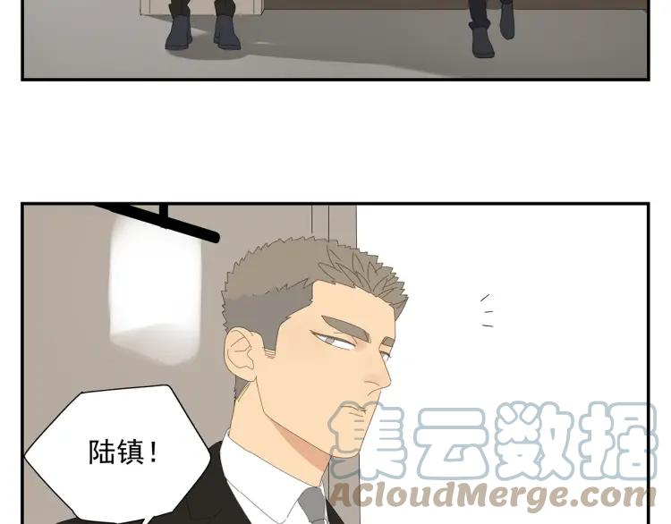 73.jpg