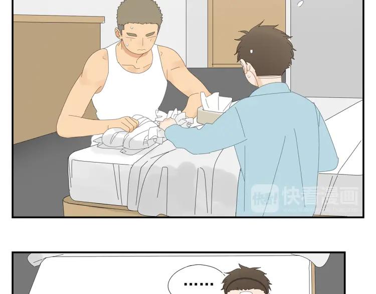 41.jpg