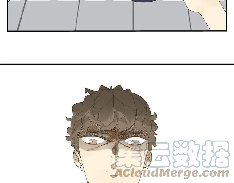 115.jpg