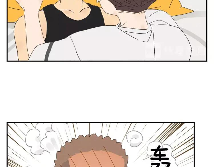 51.jpg