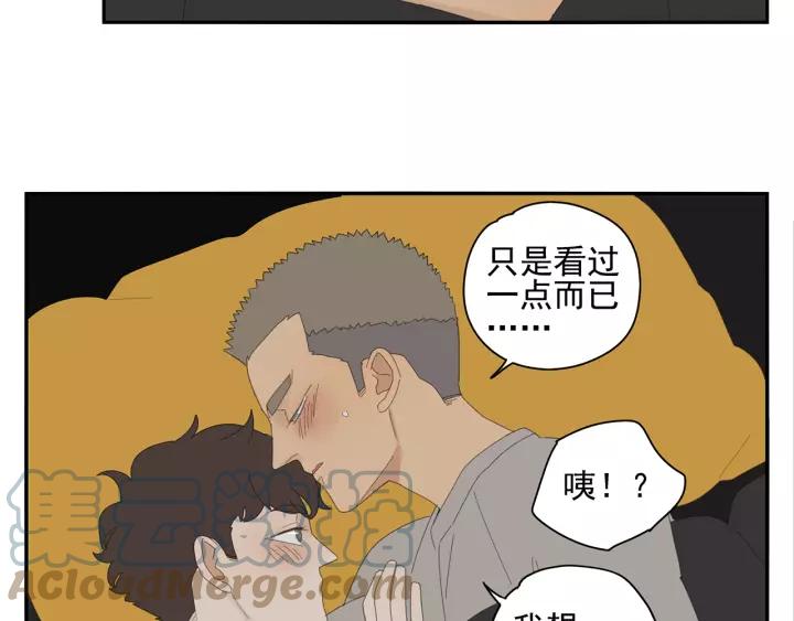 73.jpg