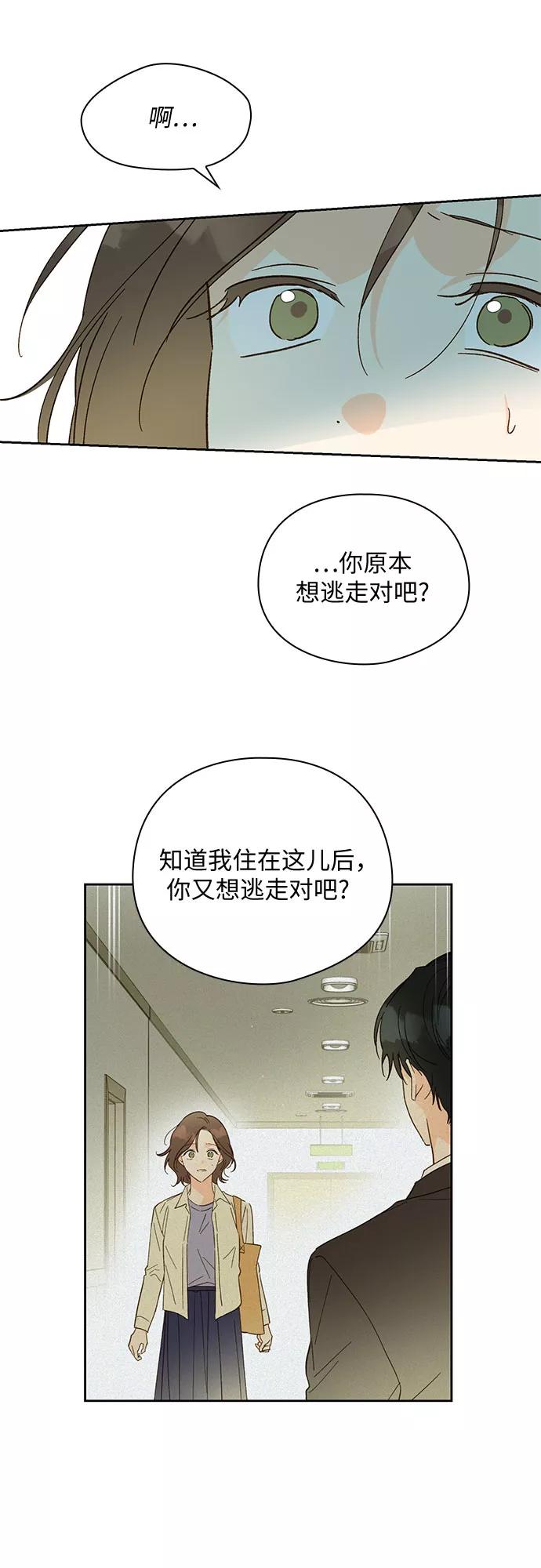 《致初恋》第51话 第26页