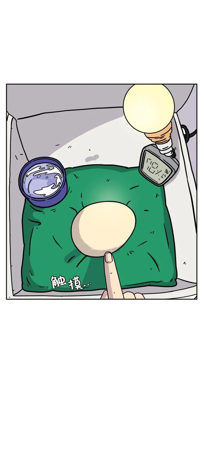 《末日避难所》[第80话] 沈初珑的塔内生活适应记-日常篇1 第71页