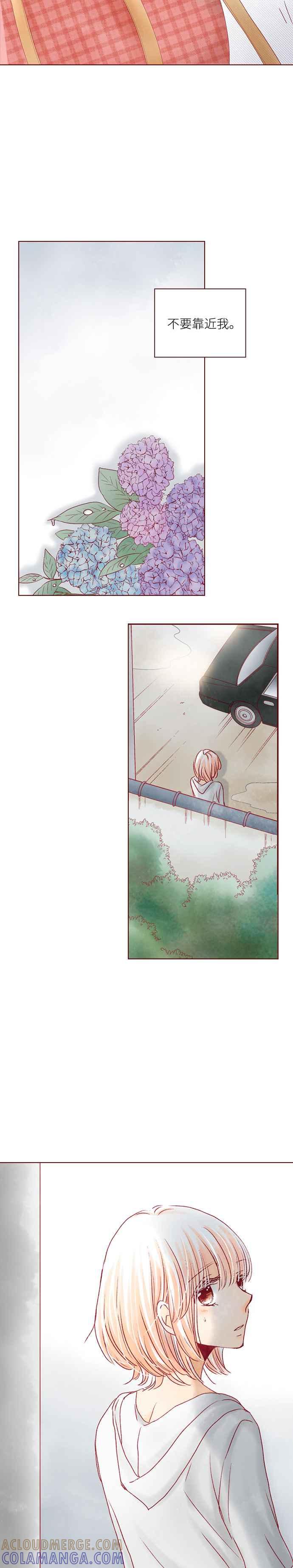 《迟来的初恋》第35话 第13页