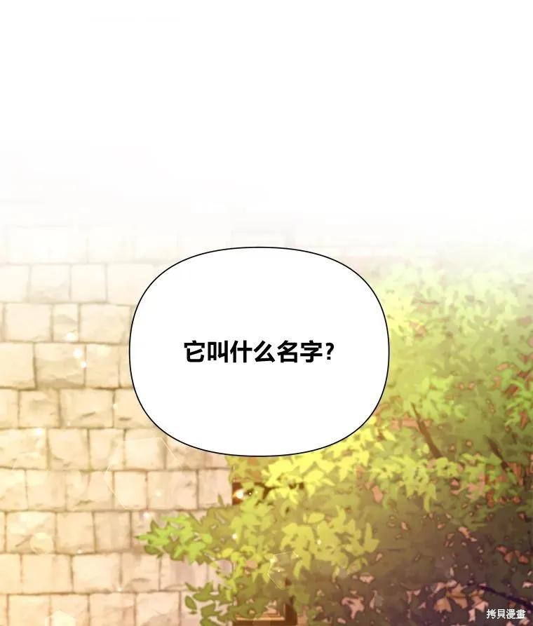 《既然是配角就跟我谈恋爱吧》第87话 第50页