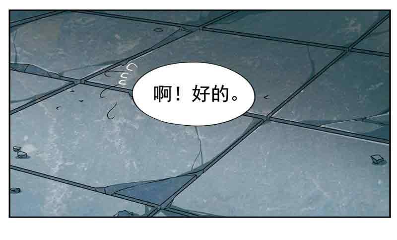 《致幻毁灭者》241 第4页