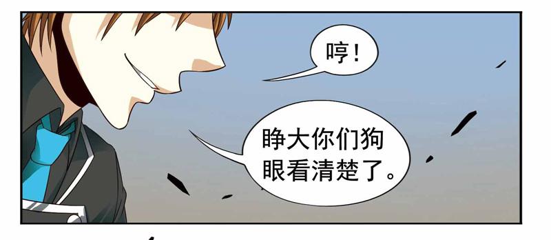 《致幻毁灭者》250 第4页