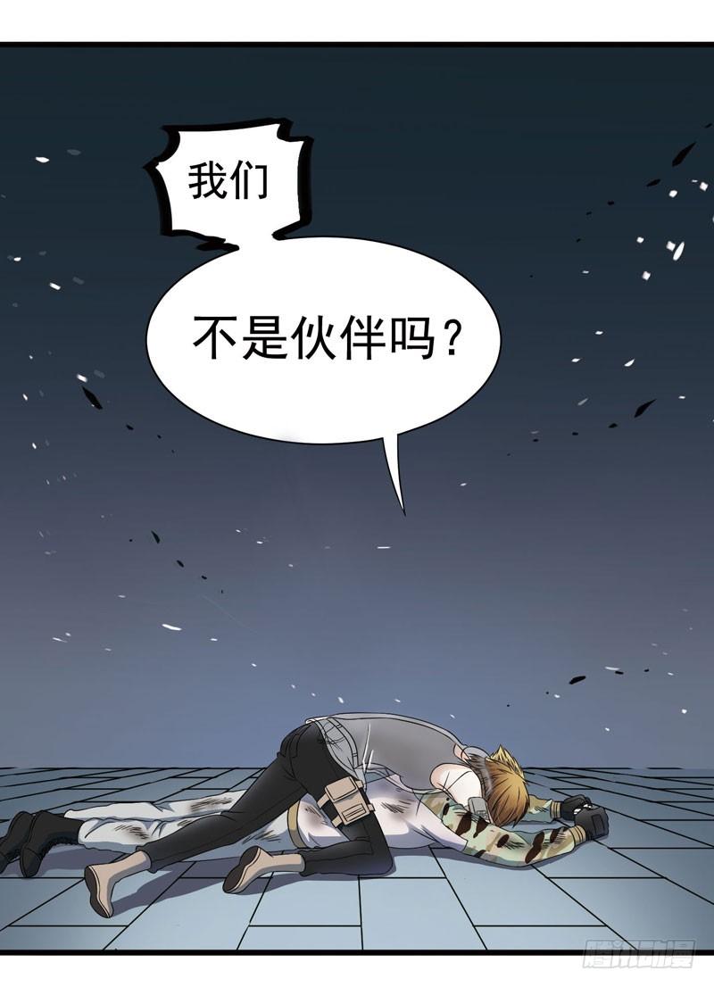 《致幻毁灭者》311 第7页