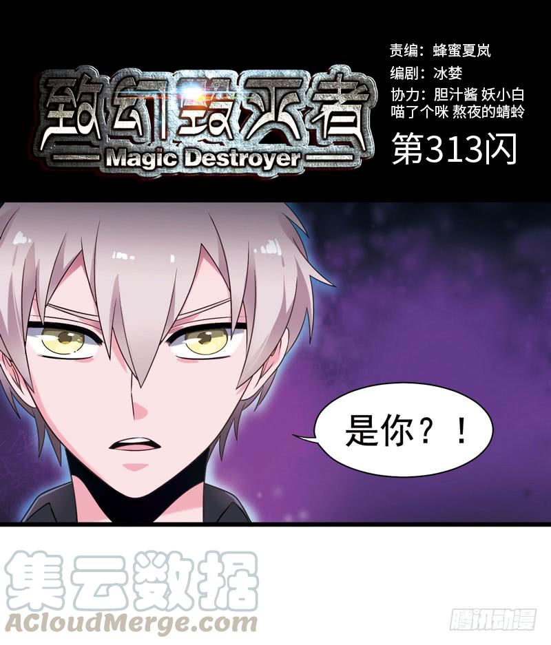 《致幻毁灭者》313 第1页