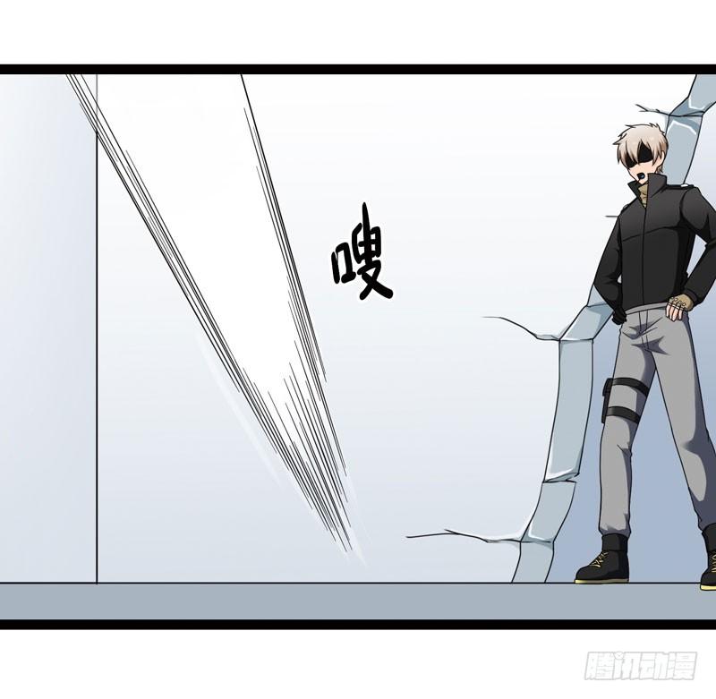 《致幻毁灭者》446 第4页
