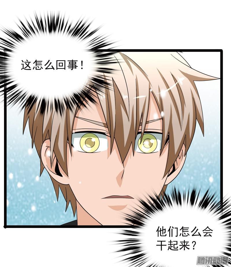 《致幻毁灭者》571 第5页
