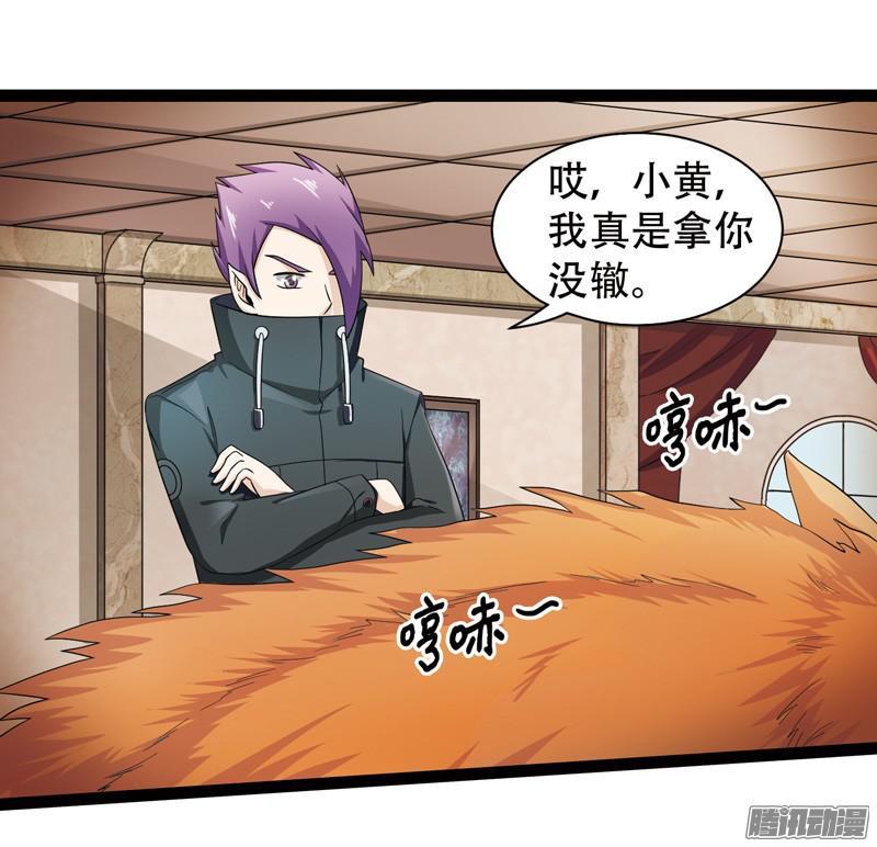 《致幻毁灭者》606 第3页