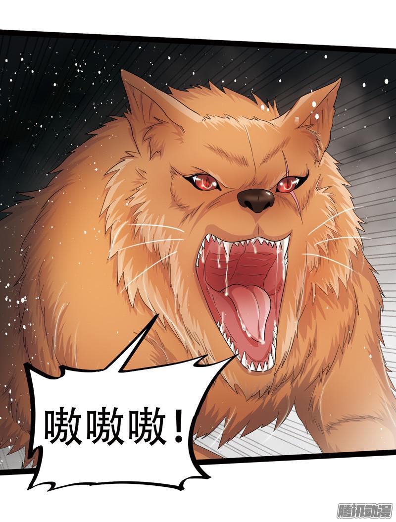 《致幻毁灭者》606 第12页