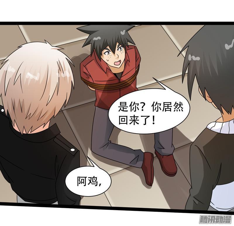 《致幻毁灭者》617 第4页