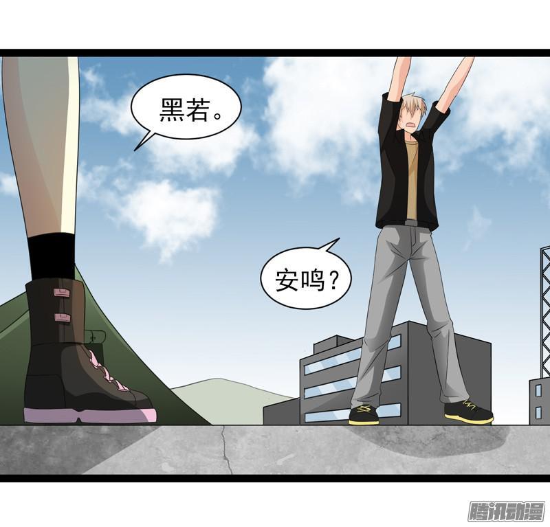 《致幻毁灭者》635 第4页