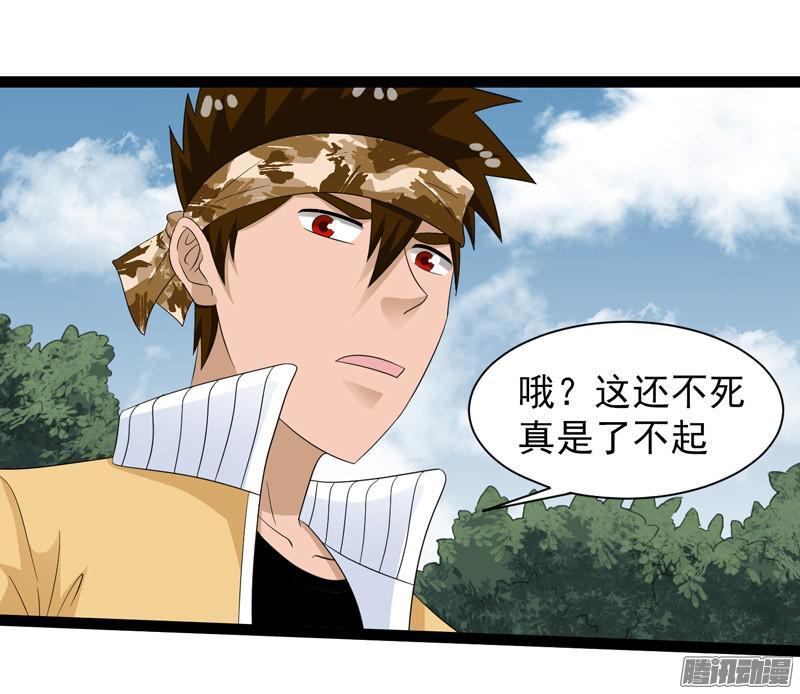 《致幻毁灭者》649 第12页