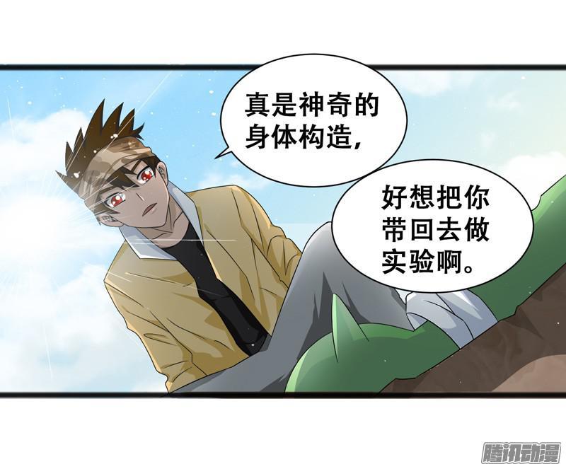 《致幻毁灭者》650 第6页