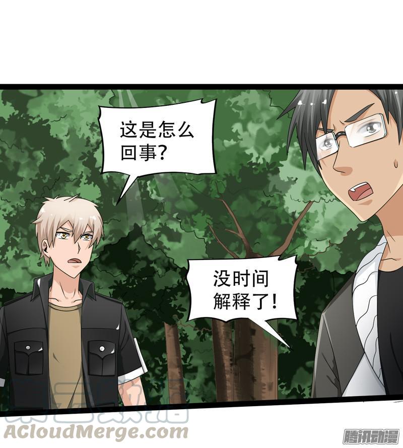 《致幻毁灭者》654 第11页