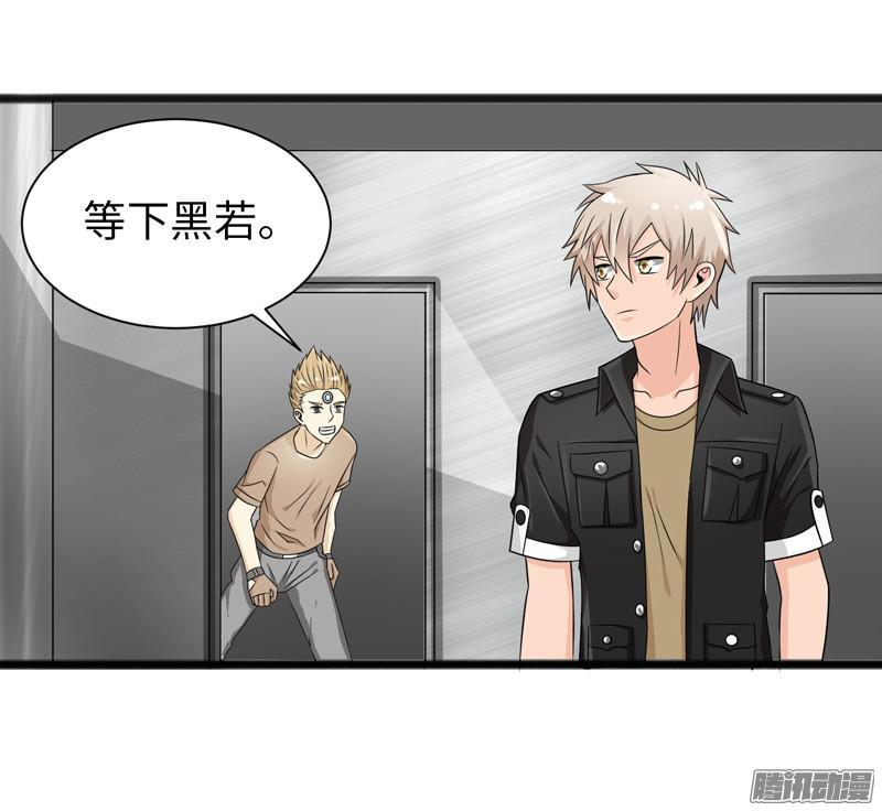 《致幻毁灭者》676 第5页