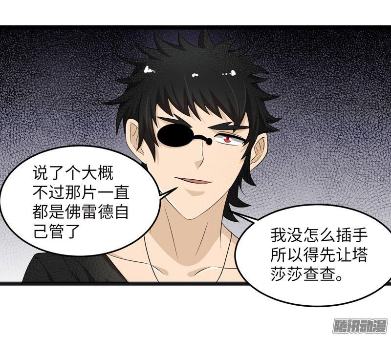 《致幻毁灭者》677 第17页