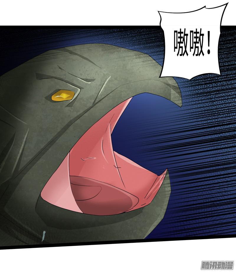 《致幻毁灭者》683 第18页