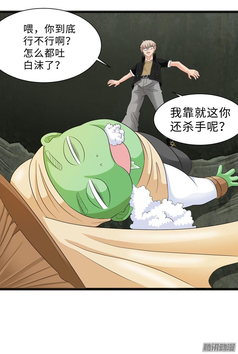 《致幻毁灭者》687 第20页