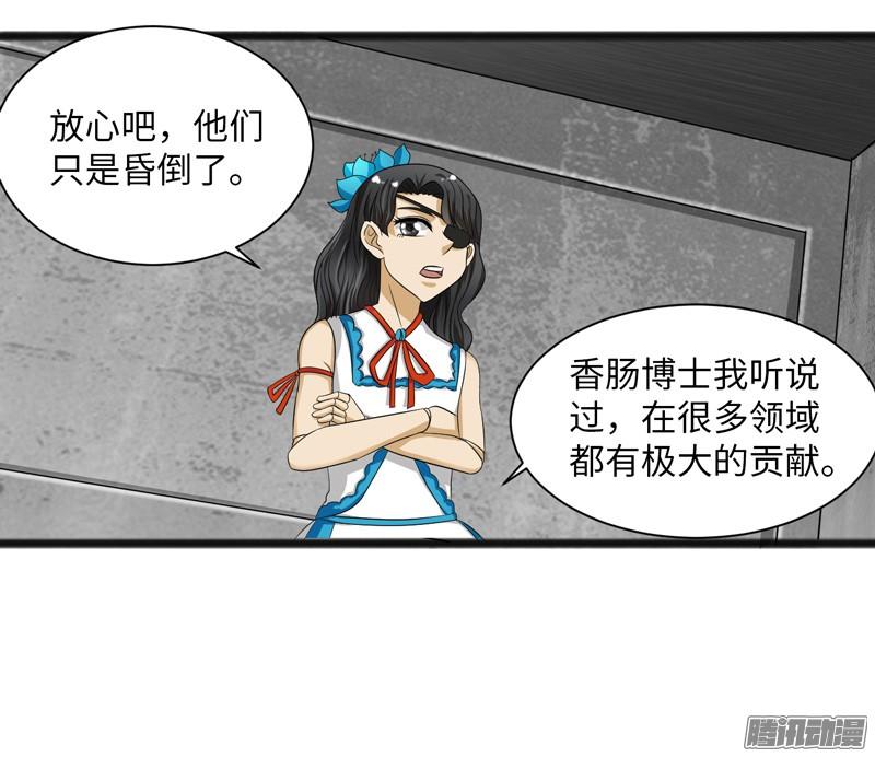 《致幻毁灭者》691 第17页
