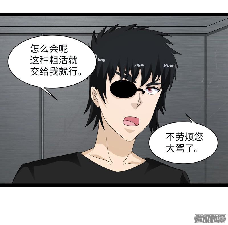 《致幻毁灭者》697 第12页