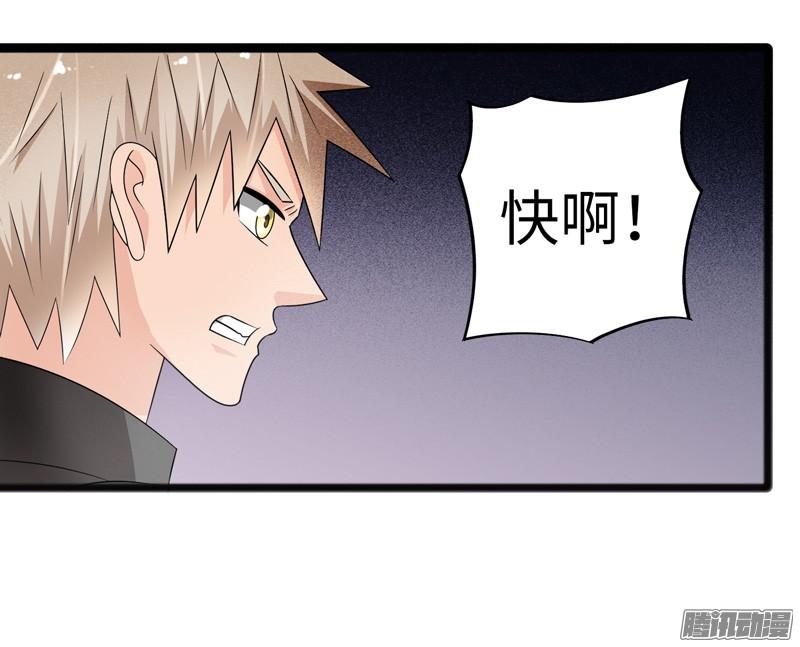 《致幻毁灭者》701 第13页