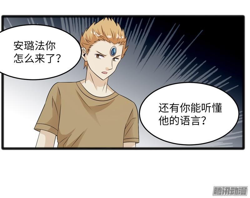 《致幻毁灭者》703 第16页