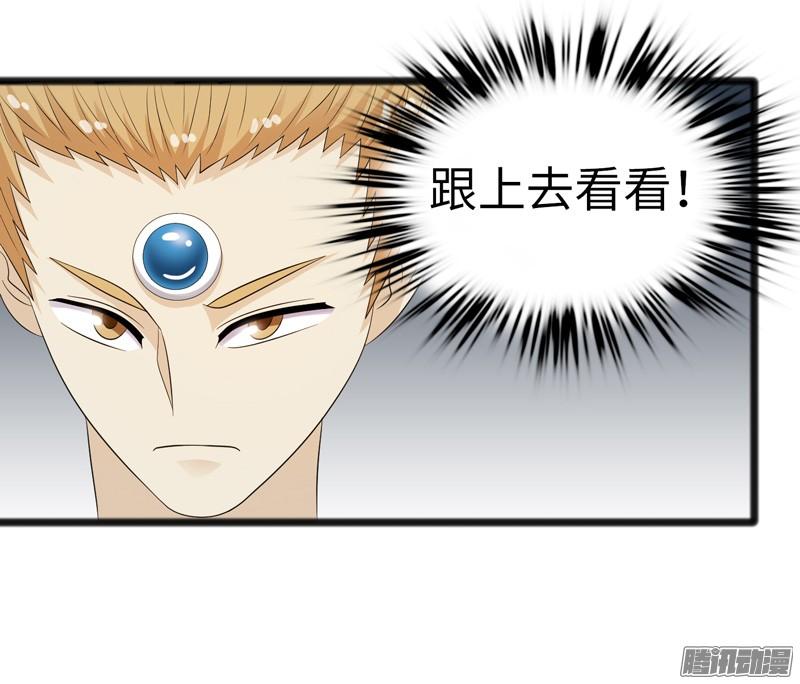 《致幻毁灭者》730 第3页