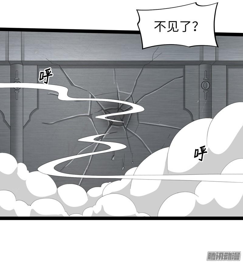 《致幻毁灭者》740 第4页