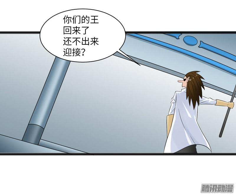 《致幻毁灭者》753 第17页