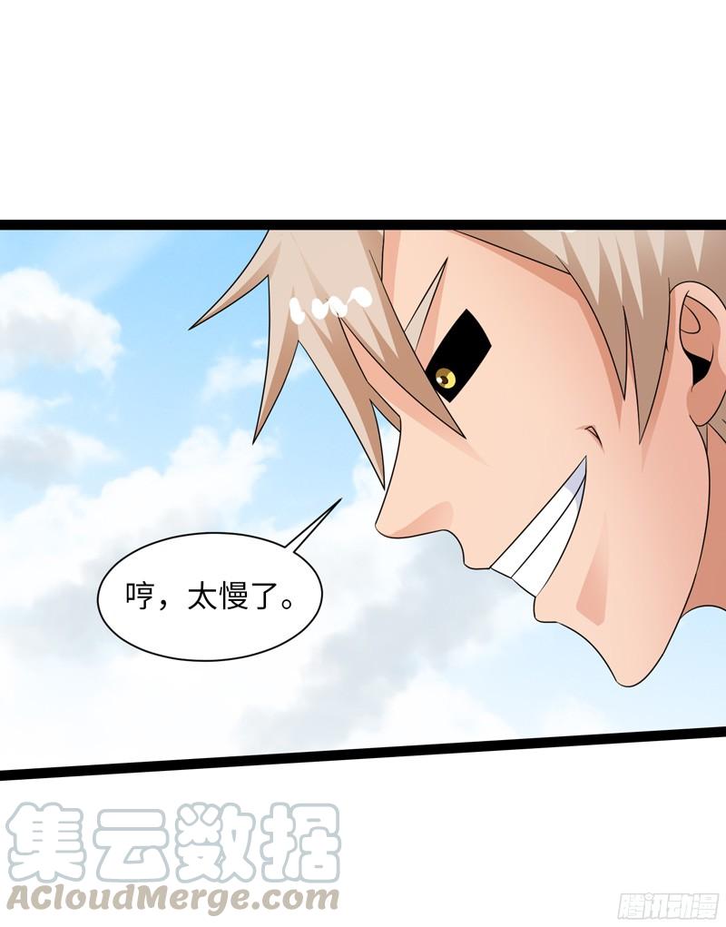 《致幻毁灭者》779 第11页