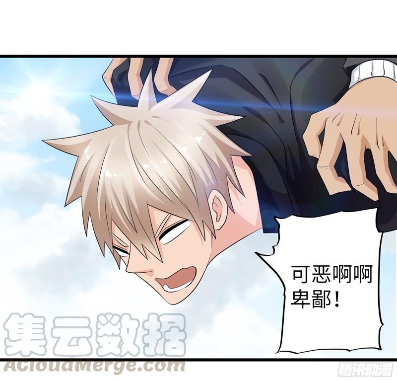 《致幻毁灭者》780 第11页