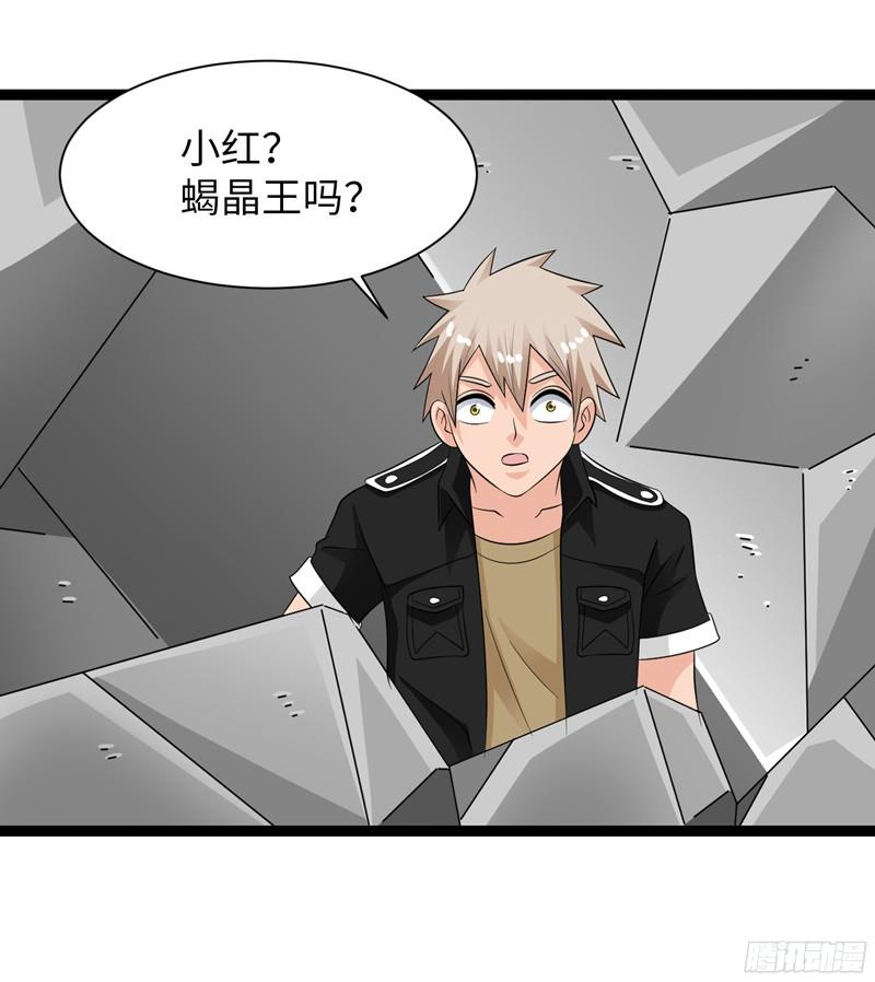 《致幻毁灭者》794 第9页