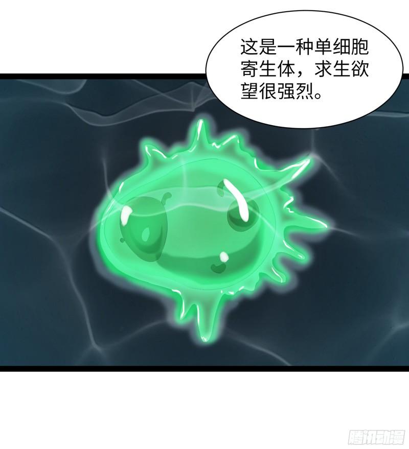 《致幻毁灭者》798 第19页