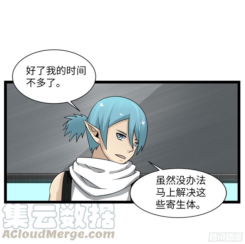 《致幻毁灭者》799 第11页