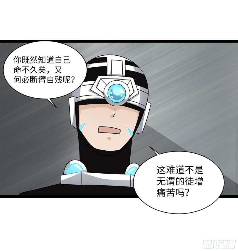 《致幻毁灭者》799 第6页