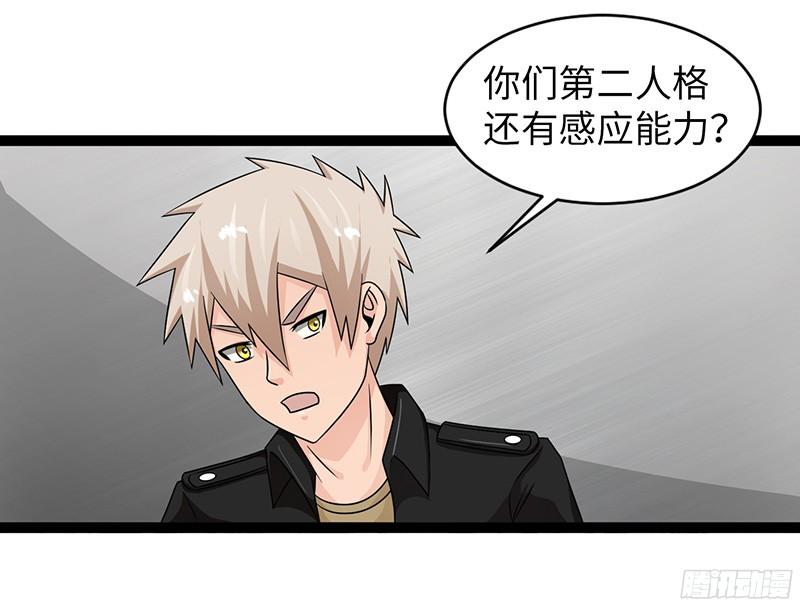 《致幻毁灭者》804 第13页