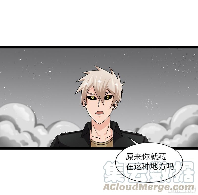 《致幻毁灭者》810 第11页
