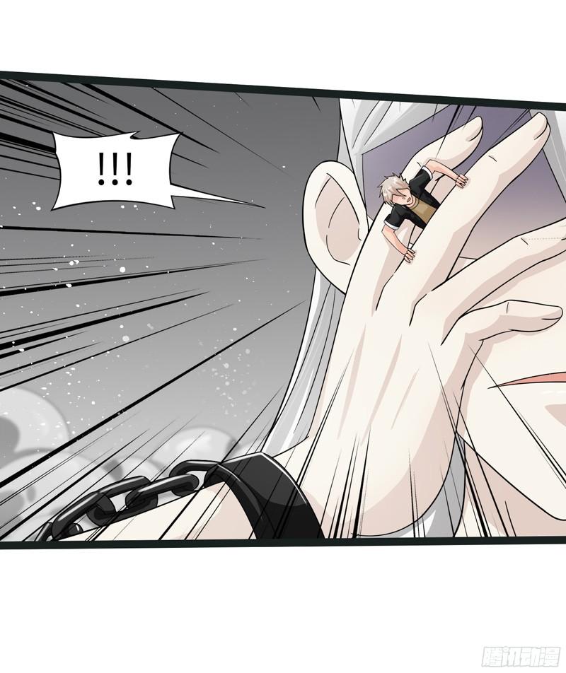《致幻毁灭者》811 第3页